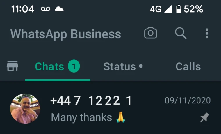 WhatsApp Business Tips Pinned Chat